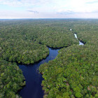 Aerial of the Amazon Rainforest in Brazil