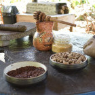 Cocoa farm in Costa Rica