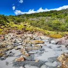 Mud pool at Rincon de la Vieja in Costa Rica