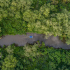 Boat trip in Sierpe Mangroves, Costa Rica