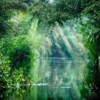 Tortuguero National Park in Costa Rica