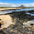 Child exploring tidal pools in the Galapagos Islands