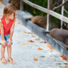 Girl and Galapagos sealion in the Galapagos Islands