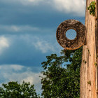 Ball game hoop in Chichen Itza, Mexico