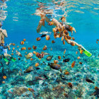 Family snorkelling in Mexico