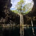 Santa Barbara cenote in Mexico