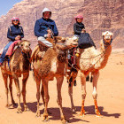 Camel trekking in Wadi Rum, Jordan