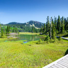 Alpine trail in Strathcona Provincial Park, British Columbia, Canada