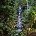 Waterfall in Tijuca Forest, Brazil 