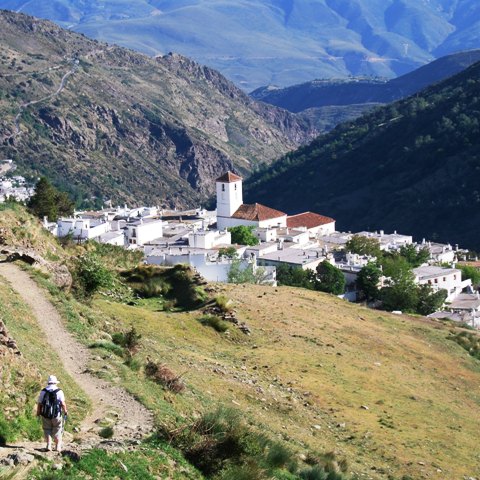 White buildings in Andalucia