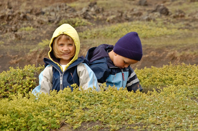 Siblings in Iceland