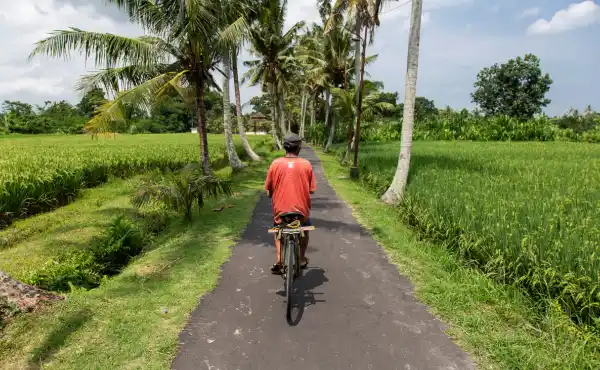 Cyclist enjoying the Balinese landscape, Bali.