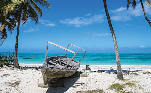Palm trees and a boat on the beach in Zanzibar, Tanzania
