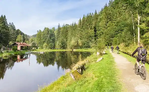 Group cycling in Sumava National Park, Czech Republic